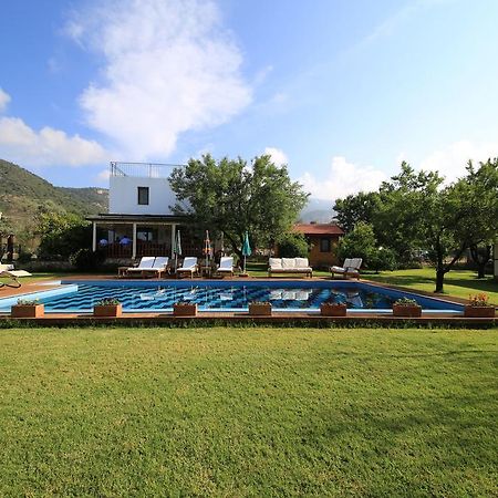 Bal Badem Bungalow Datça Extérieur photo