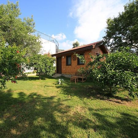 Bal Badem Bungalow Datça Extérieur photo