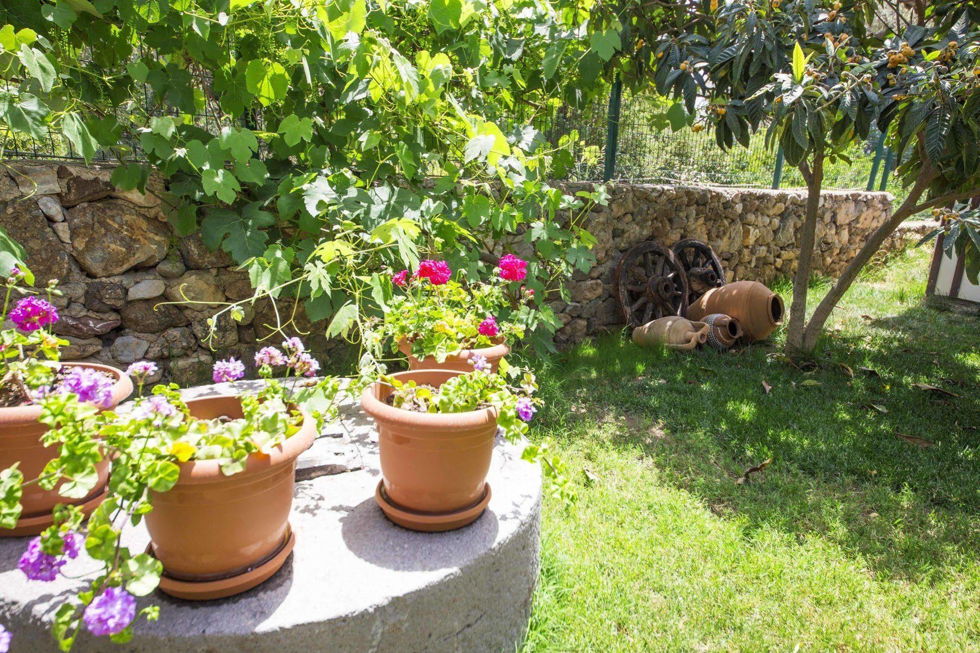 Bal Badem Bungalow Datça Extérieur photo