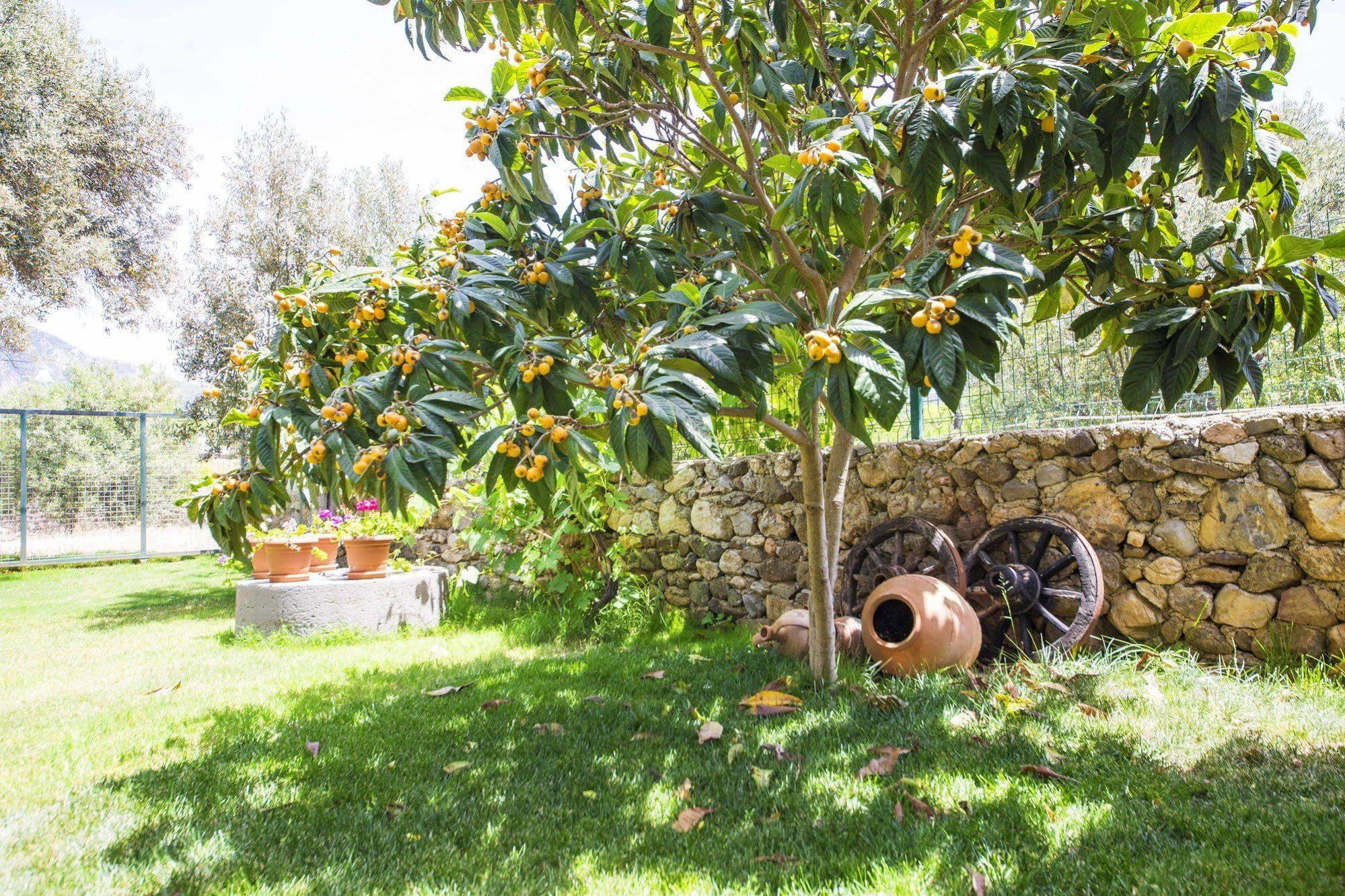Bal Badem Bungalow Datça Extérieur photo